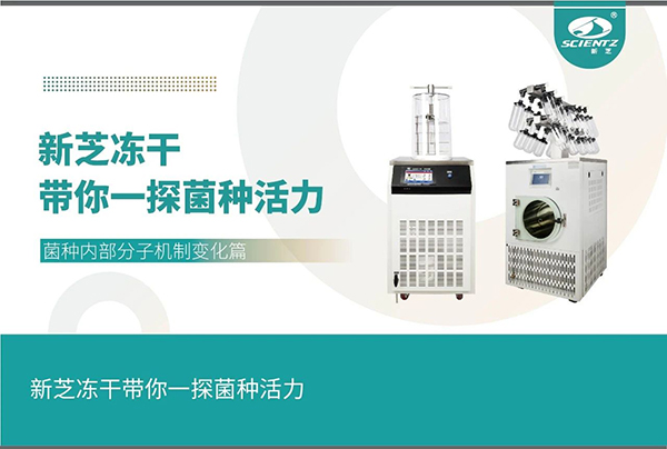 冻干机探寻菌种内部分子机制变化